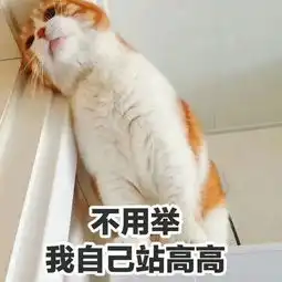  我不知道这样算不算结束了