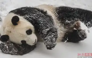  一周外媒动物图片精选