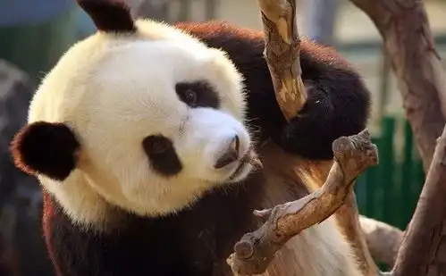  西宁将有8大变化,你最期待哪个