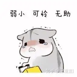 用仓鼠擦眼泪表情包