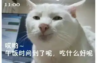  上班喵族苦逼的一天