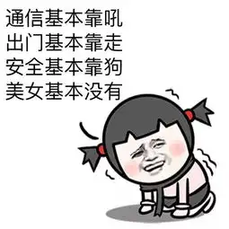  超值加拿大买车有多便宜少花人民币几十万就能get国内同款