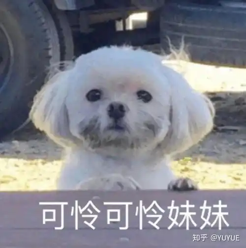  姐妹们刷单别信