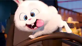  兔子的颜值可以多高