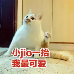  熊猫头表情包真的喜欢你,能不能对我好一点,一点点就很开心