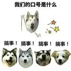 打狗狗表情包语录