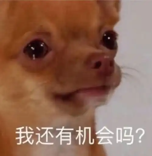  我感觉有什么东西在扒拉,我以为是爱情的魔爪