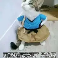  钞票表情包