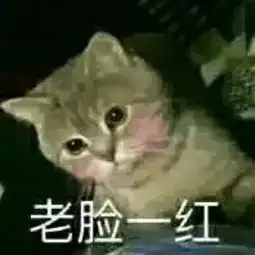  致命污染粉丝排行榜新小说吧言情小说