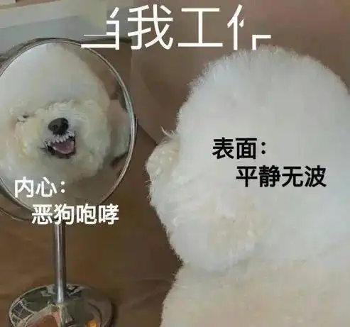 暴走表情包大全撤除