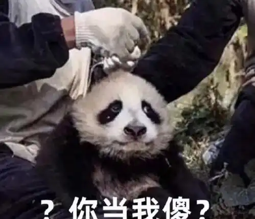  聊天各聊各的是什么体验也许这就是所谓的友谊吧,哈哈