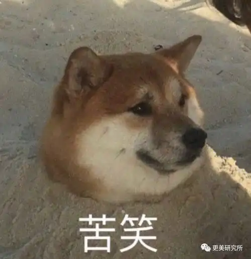  杨紫腰上的肉溢出屏幕,而赵丽颖刚生完娃还能瘦成腰精