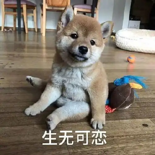  搞笑gif段子这样就能分清三兄弟了孩子