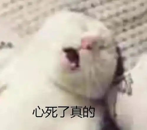  什么操作女子为躲债发了一条朋友圈,结果债主转发后被拘留了....
