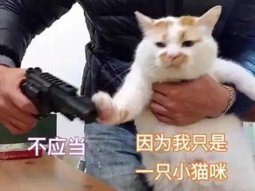  intp女生看起来是什么感觉什么样子