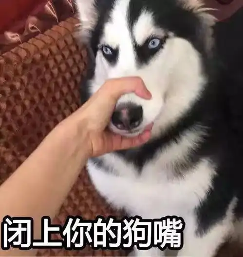  春晚小品惹群愤老婆一天不到两块钱