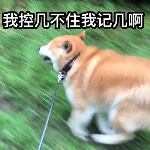  激素敏感肌是肽妍拯救我了