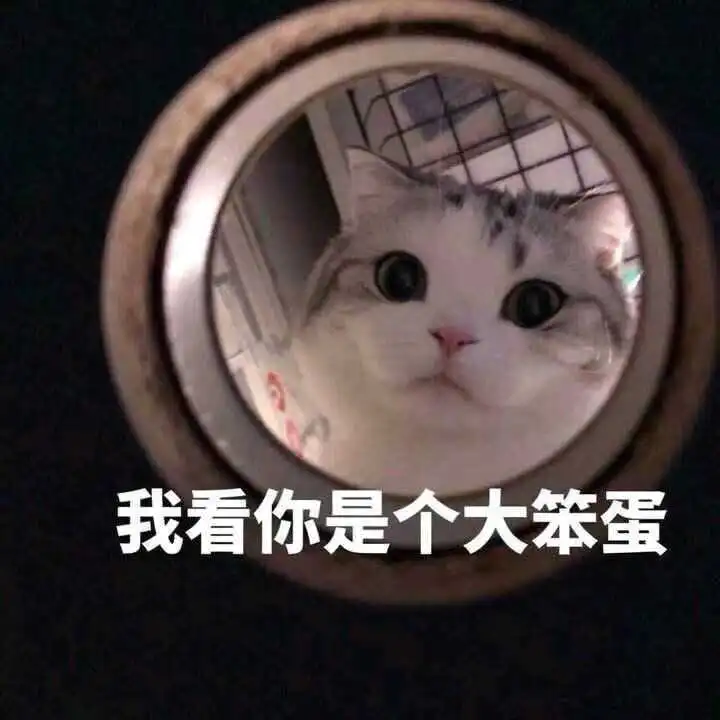  周泽宇的想法哪些表情包可以用来撩妹