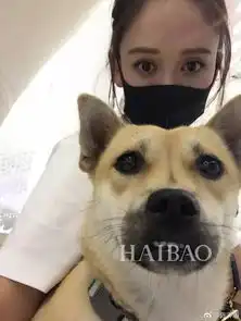  春天来了树上长满了大妈度假出片也不用上树啊