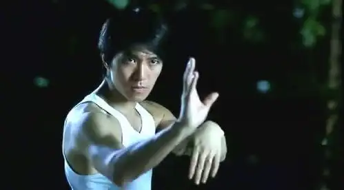  张学友和周星驰被唱歌耽误的表情包影帝,被喜剧埋没的功夫大师