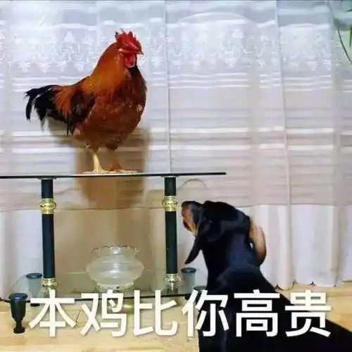  千万别让女友看见这套土鸡表情包,不然分分钟怼你没商量