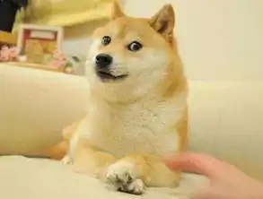  那个火遍朋友圈的单身狗,终于脱单了