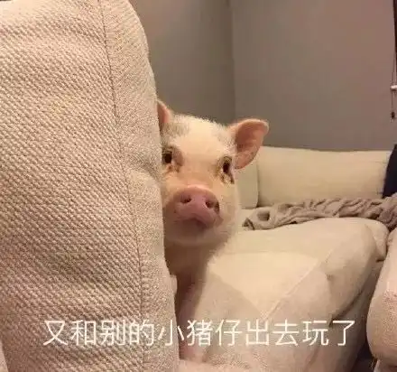 我爱你的表情包可爱猪猪