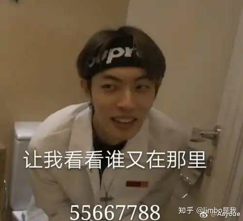  为什么木子洋也总被黑