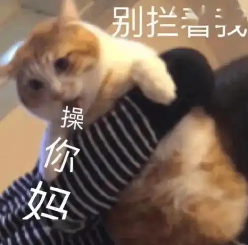  热门沙雕表情包时代变了朋友