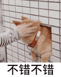 超污动态图斗图表情包和