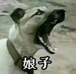  闪电教主炉石传说开场曲pullupachair哇金色传说