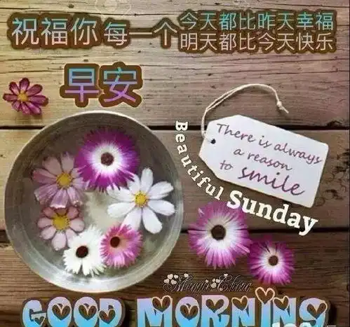  早晨好鲜花问候祝福图片朋友圈最温馨的早安问候语