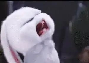  备考后期,这些细节千万别无视