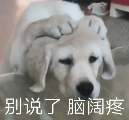  快速掌握六门乐器后我决定参加青春有你10的海选