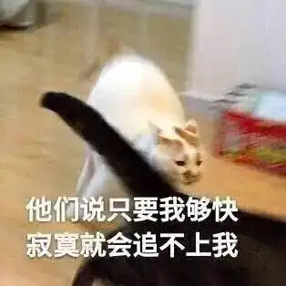 我又没钱表情包七夕