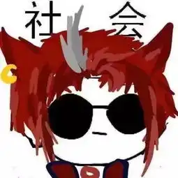  八月回顾丨当暑假撞上领养日
