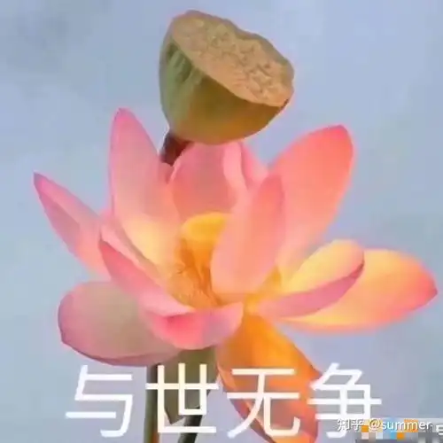 带上手铐的图片表情包