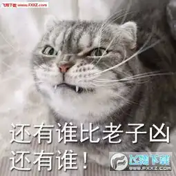 猫咪表情包高清图