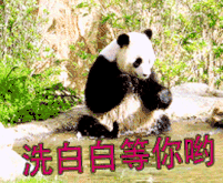  狗狗犯错后的各种表现,你家是哪种呢