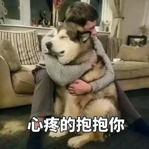  你发现过狗狗的什么秘密原来它一直默默爱着我......