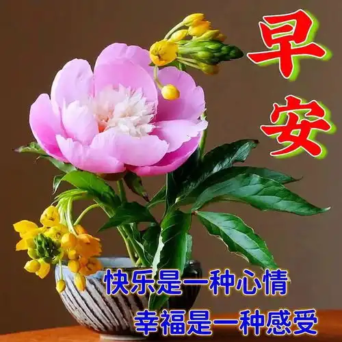  2023新版早上好祝福句子精选朋友圈特别漂亮早上好表情图片