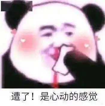  什么他们俩竟然没在一起