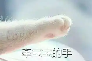  如果你硬要和你的男朋友斗图,我保证,你会后悔的
