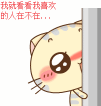  请问这猫名字叫啥有同款的发点