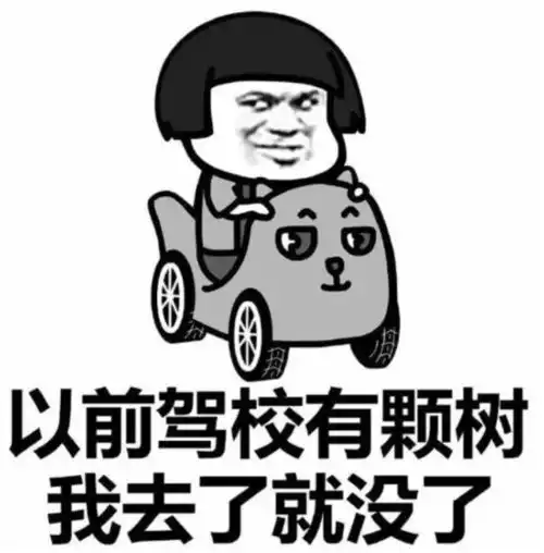  浙个假期,财刚刚开始