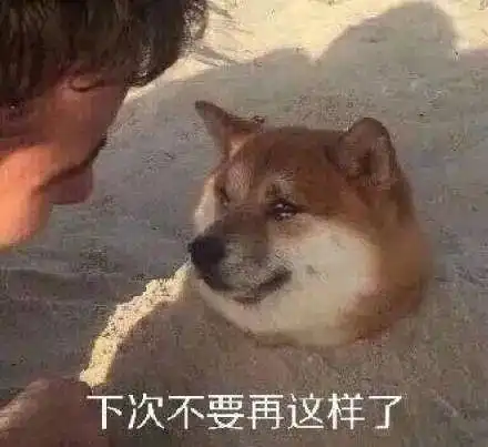  表情包舔狗系列