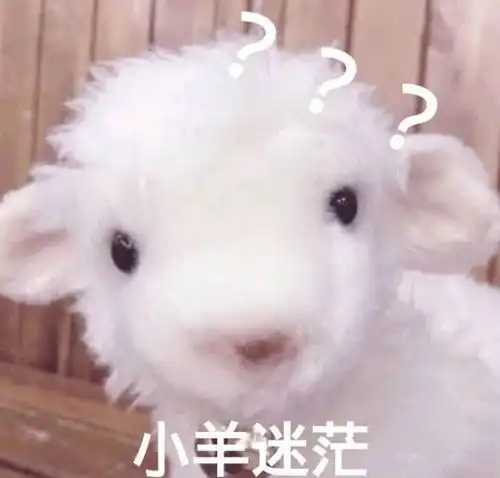 爱宠大机密小白表情包落