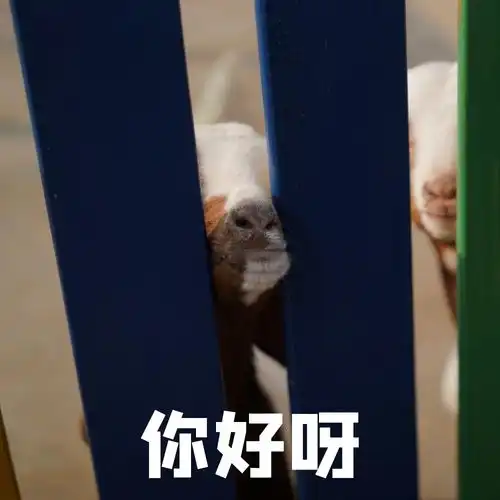  前方高萌萌宠乐园表情包新鲜出炉,总有一款萌化你