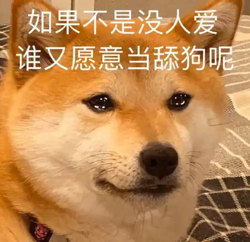  我迷糊中把脚放进去,果然劲很大,我也是服了
