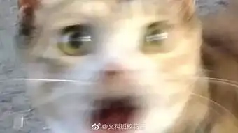  把你的精力用在能得到回报的能被赞美和能被欣赏的地方